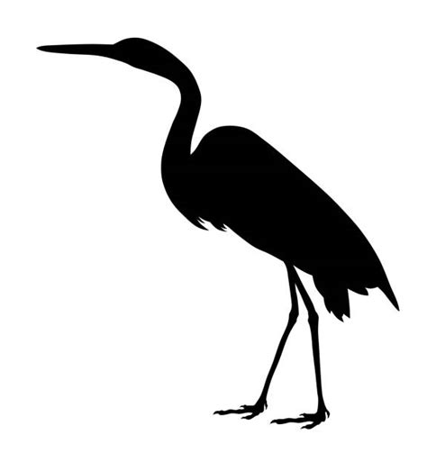 Egrets Silhouettes Stock Photos Pictures And Royalty Free Images Istock