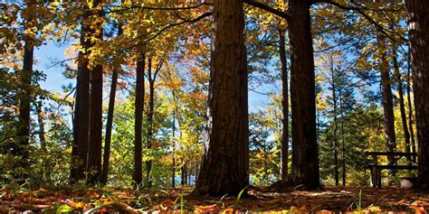 Iucn category vi (protected area with sustainable use of legally two separate national forests—the chequamegon national forest and the nicolet camping is an outdoor activity involving overnight stays away from home in a shelter, such as a tent. Chequamegon-Nicolet Nat'l Forest-Rhinelander | Travel ...