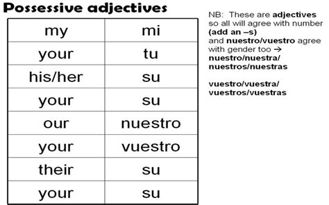 Possessive Adjectives Possessive Adjectives Adjectives Possessive