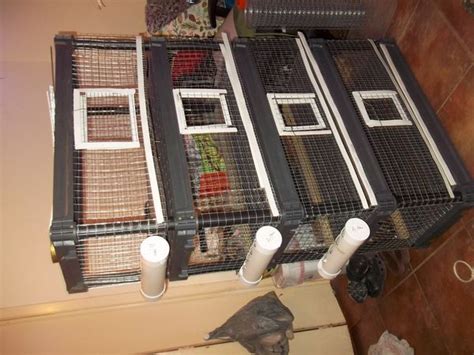 Top selection of 2020 cage quail, home & garden, home appliances, beauty & health, tools and more for 2020! DIY quail pen plan using pre-made shelving system ⋆ SS Prepper