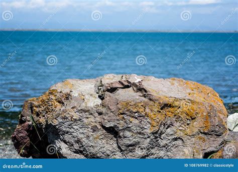 Mossy Boulder With Ocean Behind Stock Photo Image Of Growth Rough