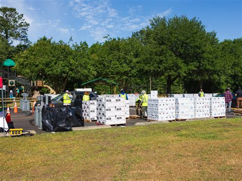 How Tallahassee's restaurant scene weathered the storm