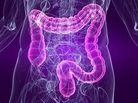 Irritable Bowel Syndrome Symptoms And Causes