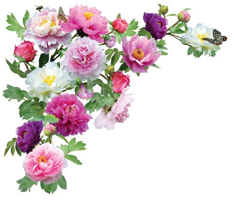 Collection of Flower HD PNG. | PlusPNG