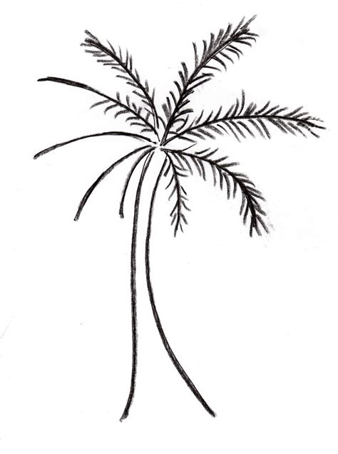 Palm Tree Drawing Art Starts For Kids