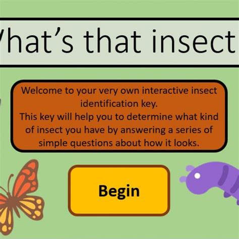 Insect Identification Interactive Powerpoint Mylearning