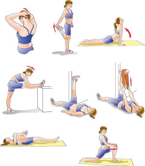 Estiramiento B Sico Workout At Work Ballet Exercises Flexibility