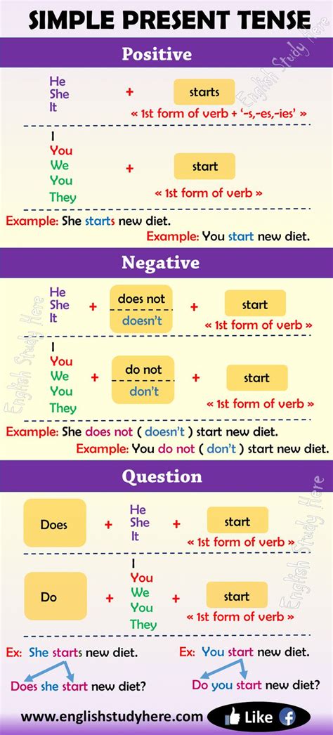 Simple Present Tense In English English Study Here Simple Verb