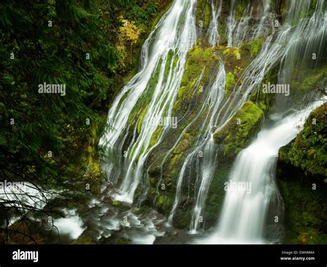 Panther Creek Hi Res Stock Photography And Images Alamy