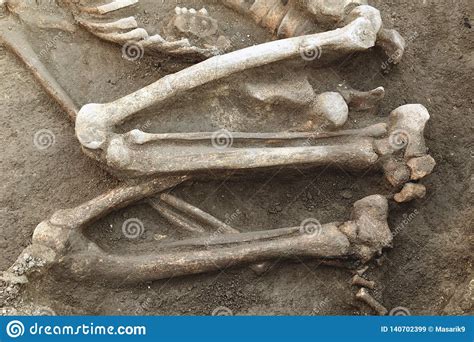 Excavaciones Y Huesos Arqueol Gicos De Los Hallazgos De Un Esqueleto En