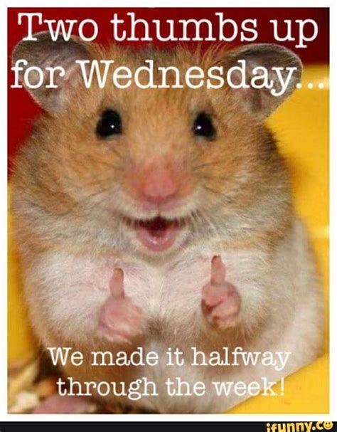 Two Thumbs Up For Wednesday Pictures Photos And Images