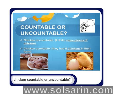 Chicken Countable Or Uncountable Solsarin