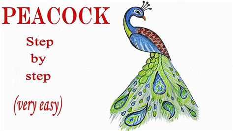 Step by step tutorial, teach you how to draw this cute and beautiful bird out, very simple. How to draw a peacock step by step (very easy) - YouTube