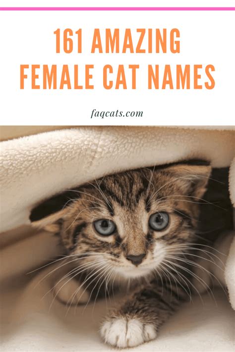 Looking Unique Girl Names For Your Cat Breed Click Over To Read Our