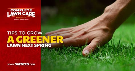 Tips To Grow A Greener Lawn Next Spring Complete Lawn Care