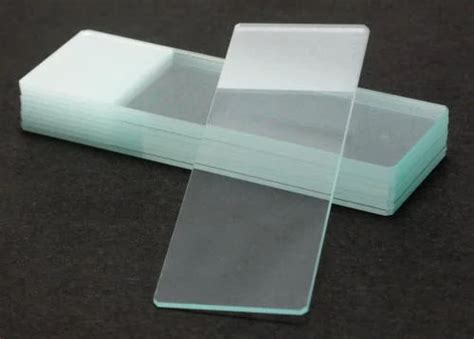 Frosted Glass Slides For Chemical Laboratory At Best Price In Delhi
