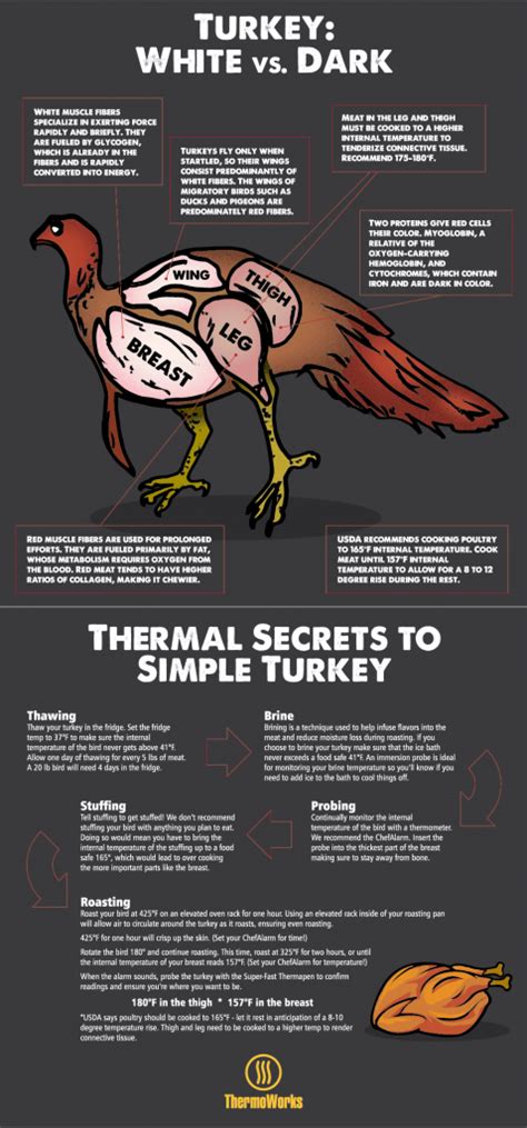 Turkey Meat White Vs Dark Thermoworks Turkey Meat Cooking The