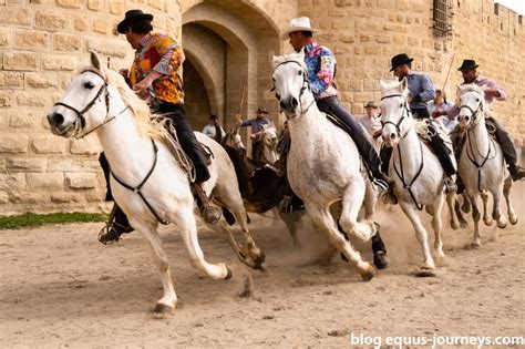 The Camargue Horse Worldwide Hoofprints Tales From The Saddle