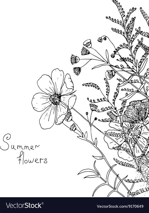 Sketch Wildflowers Royalty Free Vector Image Vectorstock