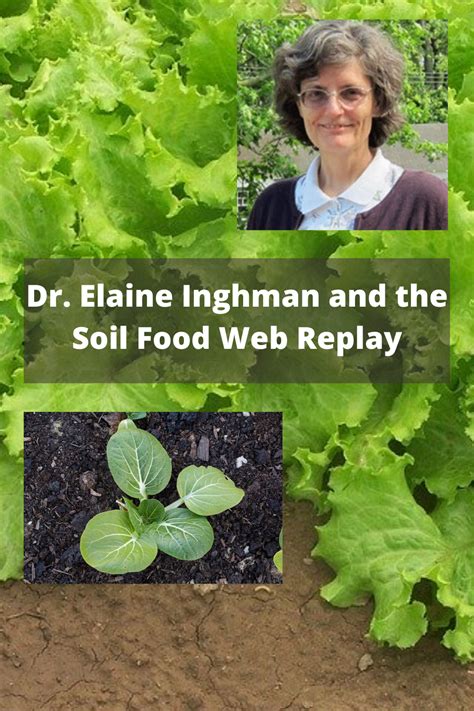 Watch The Webinar Replay With Dr Elaine Ingham Food Web Food Forest