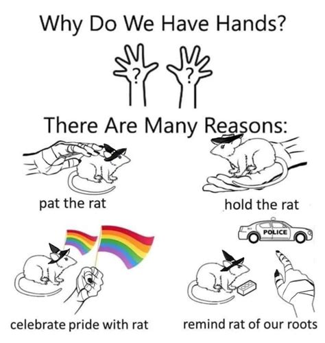 Boo The Rat 🐀🎃 On Twitter Happy Gay Month Grab Ur Nearest Rat