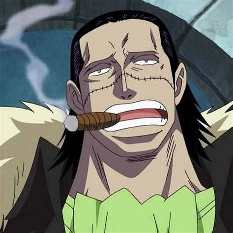 This includes pictures/videos of things in well, as long as crocodile is ashamed of it and/or has reasons to keep it secret, it is a weakness. Crocodile (One Piece)