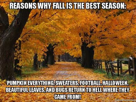 Pin By Kathleen Huffer On Autumn Pics Fall Memes Fall Humor Autumn