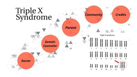 Triple X Syndrome By Madison Fikar On Prezi