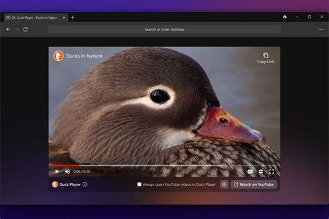 Duckduckgo’s Privacy Focused Browser Is Now Available For Windows Users In Beta The Verge