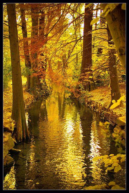 Golden Nature Flickr Photo Sharing Beautiful World Beautiful