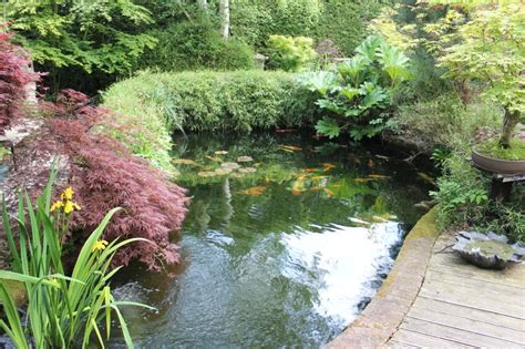 Download in under 30 seconds. 60 Backyard Pond Ideas (Photos)