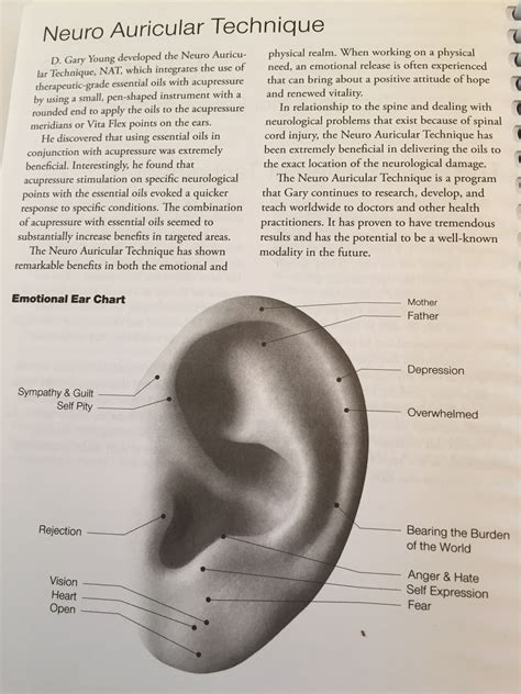 Neuro Auricular Technique Nat Emotional Ear Chart Ear Seeds Ear
