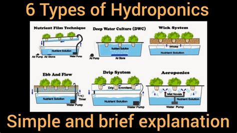 Ibat Ibang Uri Ng Hydroponics Types Of Hydroponics Simple And