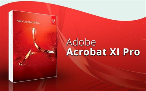 Adobe Acrobat Pro Xi Buy Peatix