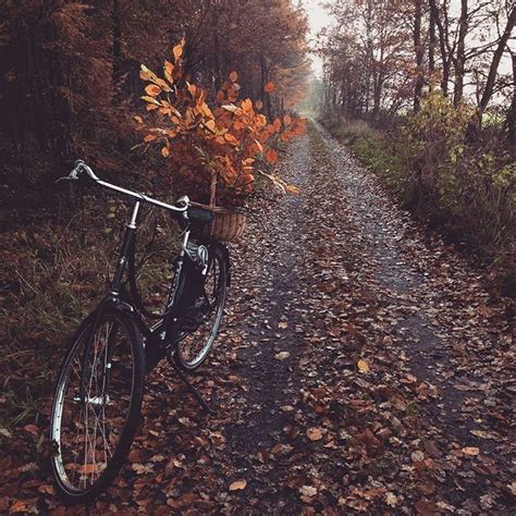 Bike Aesthetic Tumblr Autumn Aesthetic Nature Photography Scenery