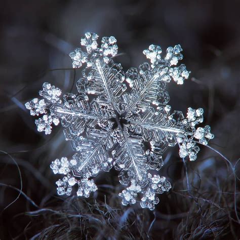 Natural Snowflakes Macro Photography By Alexey Kljatov Dezart Inspire