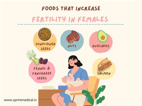 36 foods that increase fertility in females sprint medical