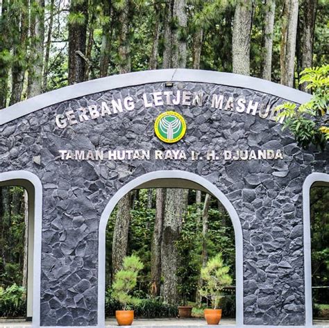 Tahura Djuanda Kawasan Hutan Konservasi Di Bandung Dengan Banyak Spot