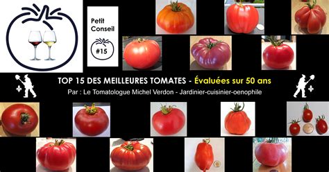 Les Meilleures Vari T S De Tomates D Couvrir Selon Le Tomatologue