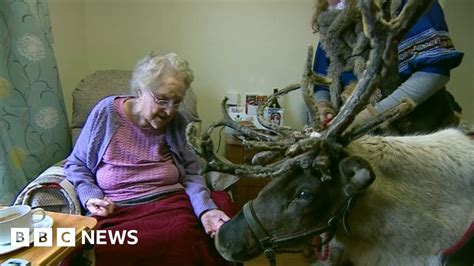 Reindeer Brings Christmas Cheer To Elderly Bbc News