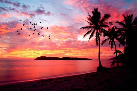 Breathtaking Beach Sunset Sunset Beach