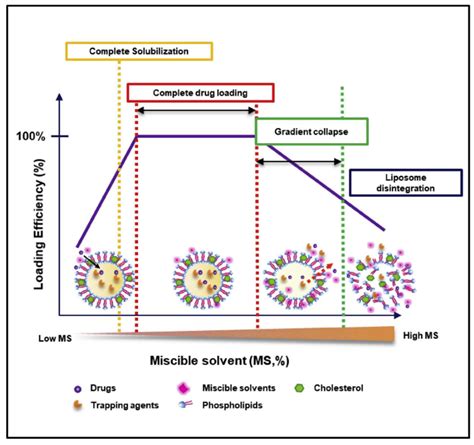 Pharmaceutics Free Full Text Development And Characterization Of