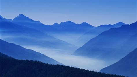 Nature Mountain Forest Landscape Fog Ultrahd 4k