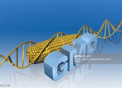 Genetically Modified Food Illustration High Res Vector Graphic Getty