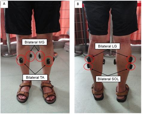 An Investigation Into The Bilateral Functional Differences Of The Lower