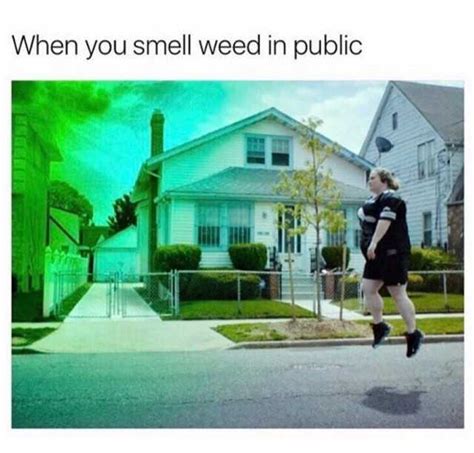 When You Smell Weed In Public En Dopl R Com