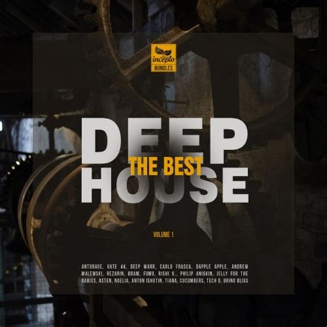 The Best Deep House Volume 1 2015 320 Kbps File Discogs