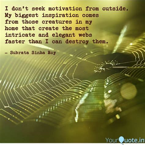 Maybe you would like to learn more about one of these? Follow The Spiders Quote / Quotes Incredible Quotes About Spider Webs Ever Noticed Writings By ...