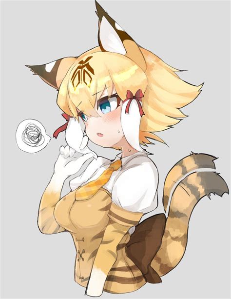 てらねこす On Twitter Kemono Friends Anime Anime Cat