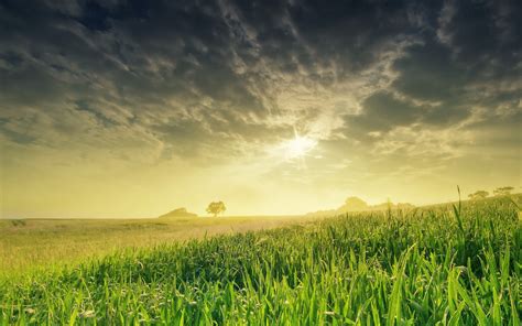 壁纸 阳光 景观 餐饮 日落 爬坡道 性质 天空 植物 领域 摄影 日出 早上 地平线 云 黎明 草原 厂